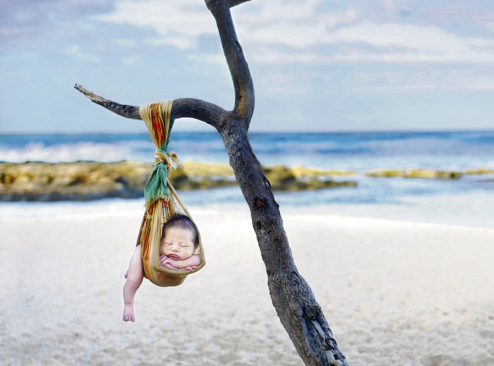 Těžký kýč zřejmě inspirovaný surrealismem. Pláž, dramatická větev odumřelého stromu a ni zavěšený nový život.