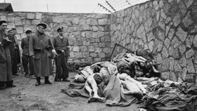 Židů žijících na území Německé říše nejspíš zahynulo o 15 tisíc více, než se myslelo.