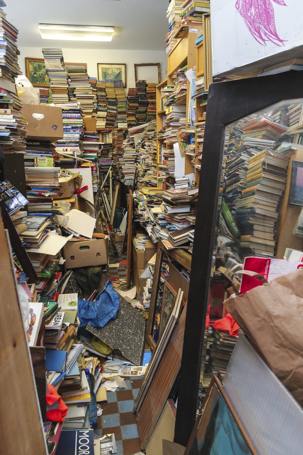 Přibližně třetina Čechů nikdy nečetla knihy, které měla ve škole na seznamu povinné literatury. Další třetinu povinná četba odradila natolik, že začali mít odmítavý vztah ke knihám obecně. (ilustrační foto)