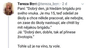 Knihkupkyně Tereza B. z Jablonce se na sociální síti Twitter rasisticky projevovala a veřejně zesměšňovala uchazeče o práci.