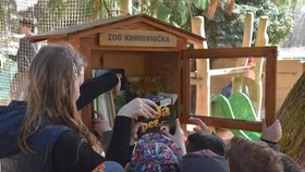 V plzeňské zoo začaly fungovat knihobudky, vypadají jako velká ptačí krmítka a nabízejí knihy zdarma. Na snímku žáci přípravné třídy 7. ZŠ a MŠ Plzeň s učitelkou Lucií Kubáňovou.