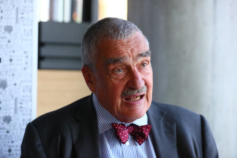 Karel Schwarzenberg (TOP 09) se podle Pallavicini nikdy nepřiznal, že by dítě mělo být jeho