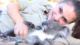 Mazlivý koala Harry a jeho ošetřovatelka se stali hitem internetu