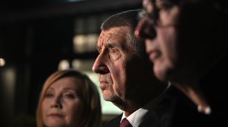 Babišova vláda režim nezmění. Zaklekne ale na "neformální instituce" liberální demokracie Babišova vláda režim nezmění. Zaklekne ale na "neformální instituce" liberální demokracie