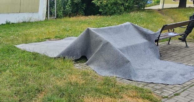 Schnoucí koberec odvezli v Ostrově strážníci na služebnu, majitel má na krku přestupek.
