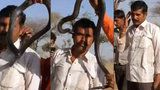 Kobra dala muži polibek smrti: Hodinu po hadím uštknutí zemřel