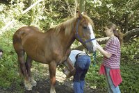 Dívka (19) spadla z koně: Je v umělém spánku