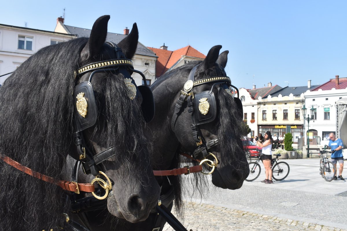 Unikátní pohřebák z roku 1850. Majitel Vítězslav Dernický (71) ho ve stodole před komunisty.