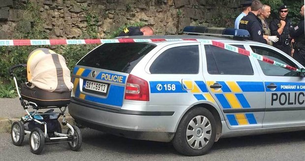 Muž v Ostravě se pokusil unést dítě z kočárku! Policista na něj tasil zbraň (Ilustrační foto)
