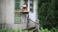 Ve švýcarském Bernu jsou mnohé domy opatřeny kočičími žebříky.