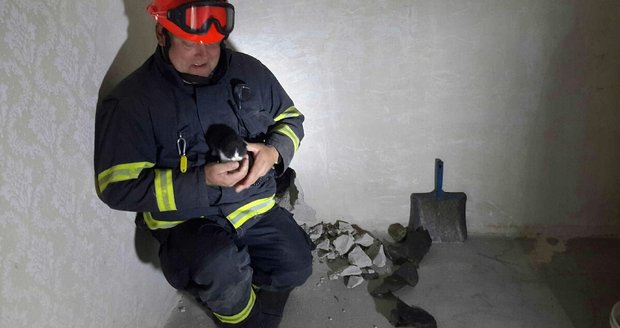 Hasiči zachránili kočku, která uvízla ve čtyřmetrové hloubce mezi dvěma domy v Boleradicích na Břeclavsku.