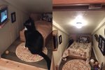 Pro svou kočku vyrobil vlastní bydlení. Nezapomněl ani na televizi