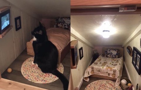 Pro svou kočku vyrobil vlastní bydlení. Nezapomněl ani na televizi 