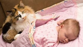 Myslíte si, že kočka je z vašeho novorozeného potomka nadšená? Omyl