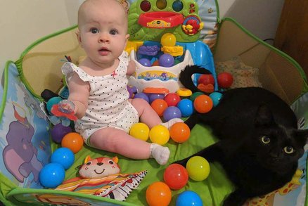 Kočky byly nadšené z novorozence! Jak to rodiče dokázali? 