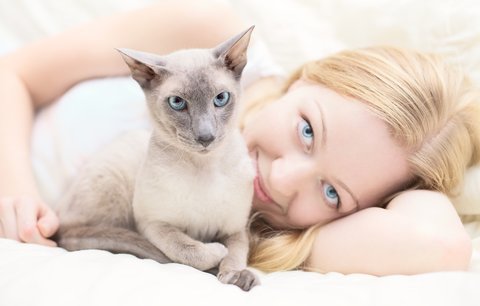 7 důvodů, proč jsou majitelé koček zdravější, chytřejší a šťastnější