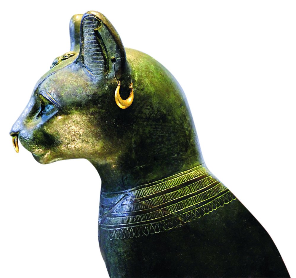 Uctívání koček 3 ve starověkém Egyptě vedlo vědce k přesvědčení, že zdomácněly právě tady