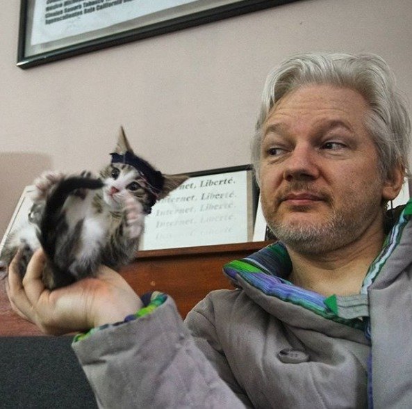 Zatčenému Assangemu dělala na velvyslanectví společnost kočka, kam se poděla?