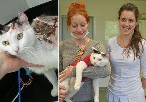 Kočínek s novou majitelkou Kateřinou Racek (vlevo) a veterinářkou Taťánou Otiskovou. Po těžké popálenině se úspěšně zotavuje.