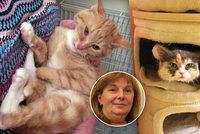 Dana (57) provozuje „kočičí depozitum“. Opuštěné kočky žijí v desítkách pražských bytů