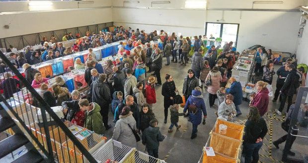 Opuštěné kočky čeká šance na lepší život: Předvedou se lidem na Černém Mostě