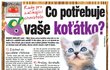 Co potřebuje vaše kotě?