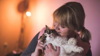 Milovníci koček jsou prý chytřejší než pejskaři. Výběr mazlíčka napoví i jaký vztah hledáme Milovníci koček jsou prý chytřejší než pejskaři. Výběr mazlíčka napoví i jaký vztah hledáme