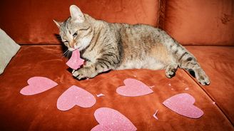 Musíme sami sebe milovat? Pokusy o sebelásku jsem vzdala a konečně se mi ulevilo Musíme sami sebe milovat? Pokusy o sebelásku jsem vzdala a konečně se mi ulevilo