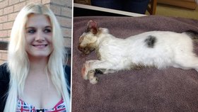 Kočka napadla Lauře (23) zlatou rybku: Blondýnka ji usmažila v mikrovlnce zaživa!