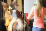 Dívky (obě 15) si ohřály kočku v mikrovlnce a hned je z toho internetový poprask