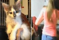 Dvě patnáctileté holky vzaly kotě, strčily ho do mikrovlnky a ohřály ho!