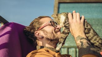 Den objímání koček: Chlupaté spolubydlící snižují stres i riziko mrtvice Den objímání koček: Chlupaté spolubydlící snižují stres i riziko mrtvice