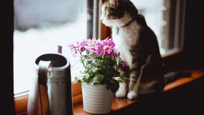 Co je to NIMBY efekt? Co je to NIMBY efekt?