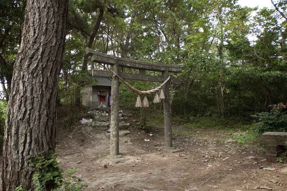 Na ostrově Tashirojima se kočky mají jako prasata v žitě