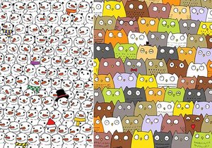 Najdi pandu a kočku!