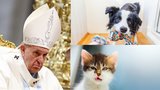 Ostrá kritika papeže Františka: Nelíbí se mu, že si lidé místo dětí pořizují domácí mazlíčky