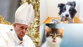Papež František kritizoval lidi, že nechtějí mít děti a dávají přednost domácím mazlíčkům