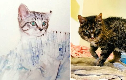 Ztracená kočička se po 20 letech shledala se svou paničkou: Strávily spolu jen dva dny, pak zemřela