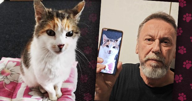 Majitel kočičky Miroslav Šajtar (67) ze Studénky doufá v zázrak, že se se Zrzičkou opět shledá.