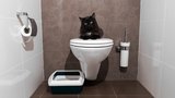 5 dokonalých triků, jak maskovat kočičí toaletu
