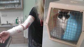 Na majitelku zaútočila její kočka. Pomoci ji museli strážníci.