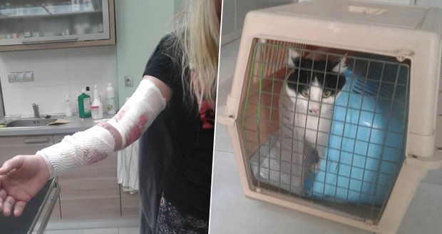 Na majitelku zaútočila její kočka. Pomoci ji museli strážníci.