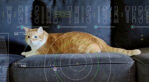 Video kočky z vesmíru: Sleduj první stream laserem v testu NASA