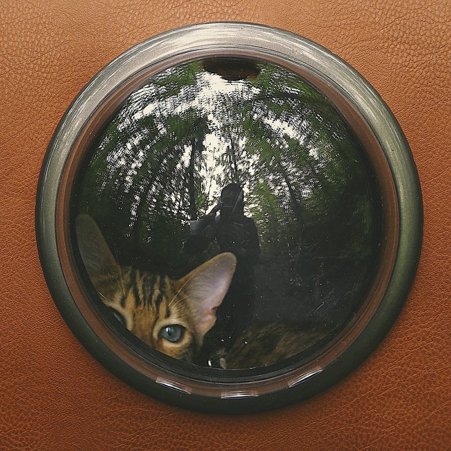 Suki - kočka cestovatelka