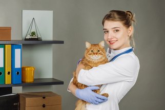 Důvody k nespokojenosti s veterinářem