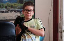 Filip (12) zachránil hluchého kocourka: Zbídačený Felix křičel v křoví!