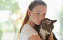 Kočky nesou smrt: Nový virus budí obavy