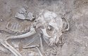 Kočky pohřbené před 6 tisíci lety v egyptském Hierakonpolis