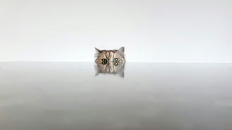 Slovo těžší než vina je „promiň". Proč je tak těžké se omluvit? Slovo těžší než vina je „promiň". Proč je tak těžké se omluvit?