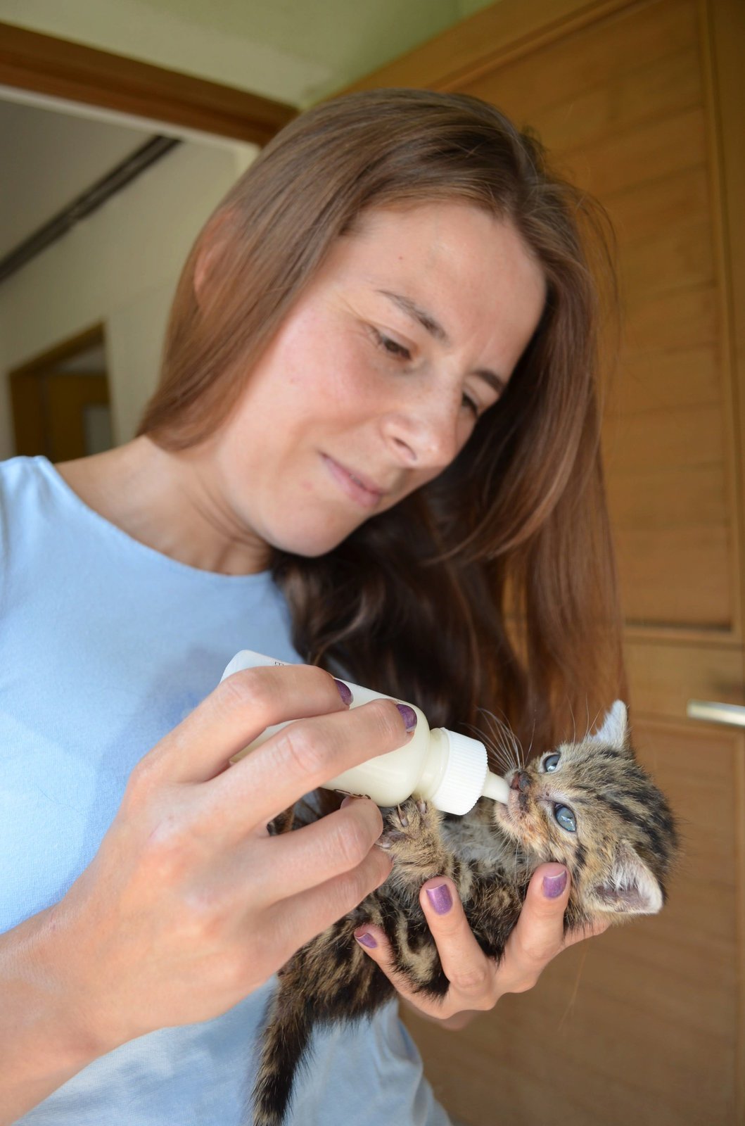 Hana Mičová (28) musí každé dvě hodiny krmit speciálním mlékem z lahve pět koťat.